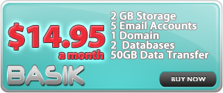 Basik Hosting Package