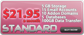 Standard Hosting Package